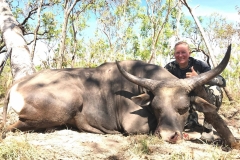 banteng 2017