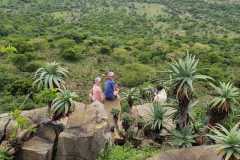 IMG-20221027-WA0019