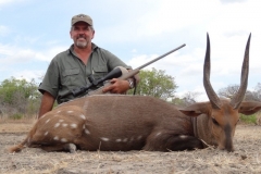 Mozambique Bushbuck