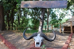 Mozambique camp 7