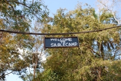 Mozambique camp 8