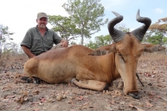 Mozambique Hartebeest
