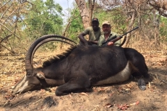 Mozambique Sable 2