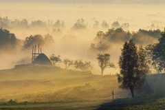 Fields in Poland 2