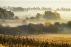 Fields in Poland
