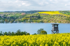 Shooting House Scenery