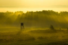 Shooting House at Dawn