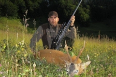 Roe deer
