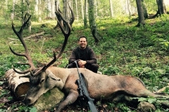 red stag 2
