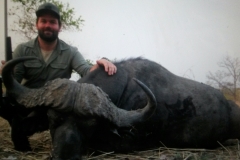 Buffalo