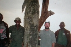 Crocodile