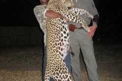 Leopard